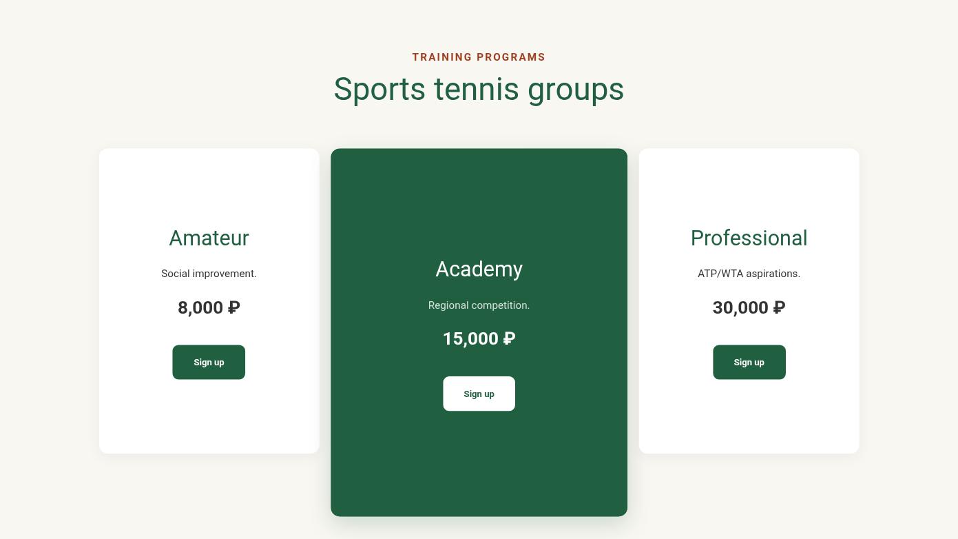 Professional Tennis Academy Website Design Page 04