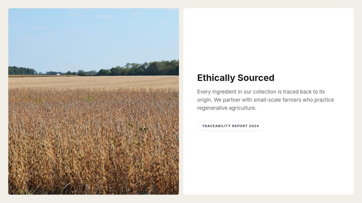 Minimalist Organic Skincare Landing Page Page 07