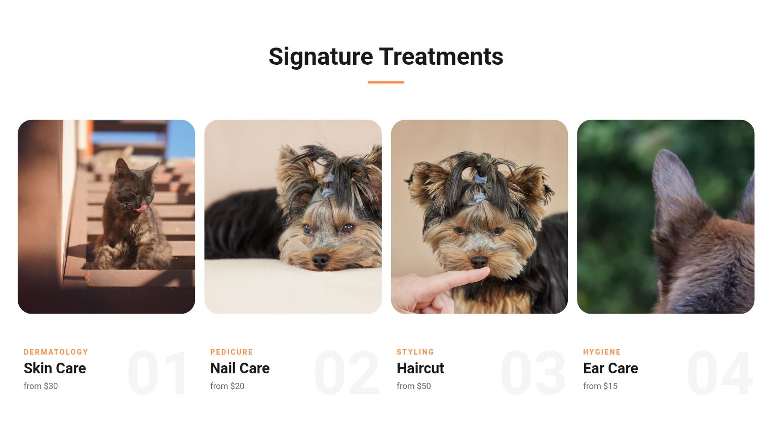 Modern Pet Grooming Presentation Slides Page 03