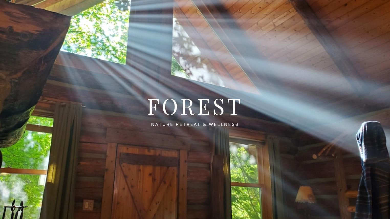 Minimalist Forest Retreat Presentation Deck