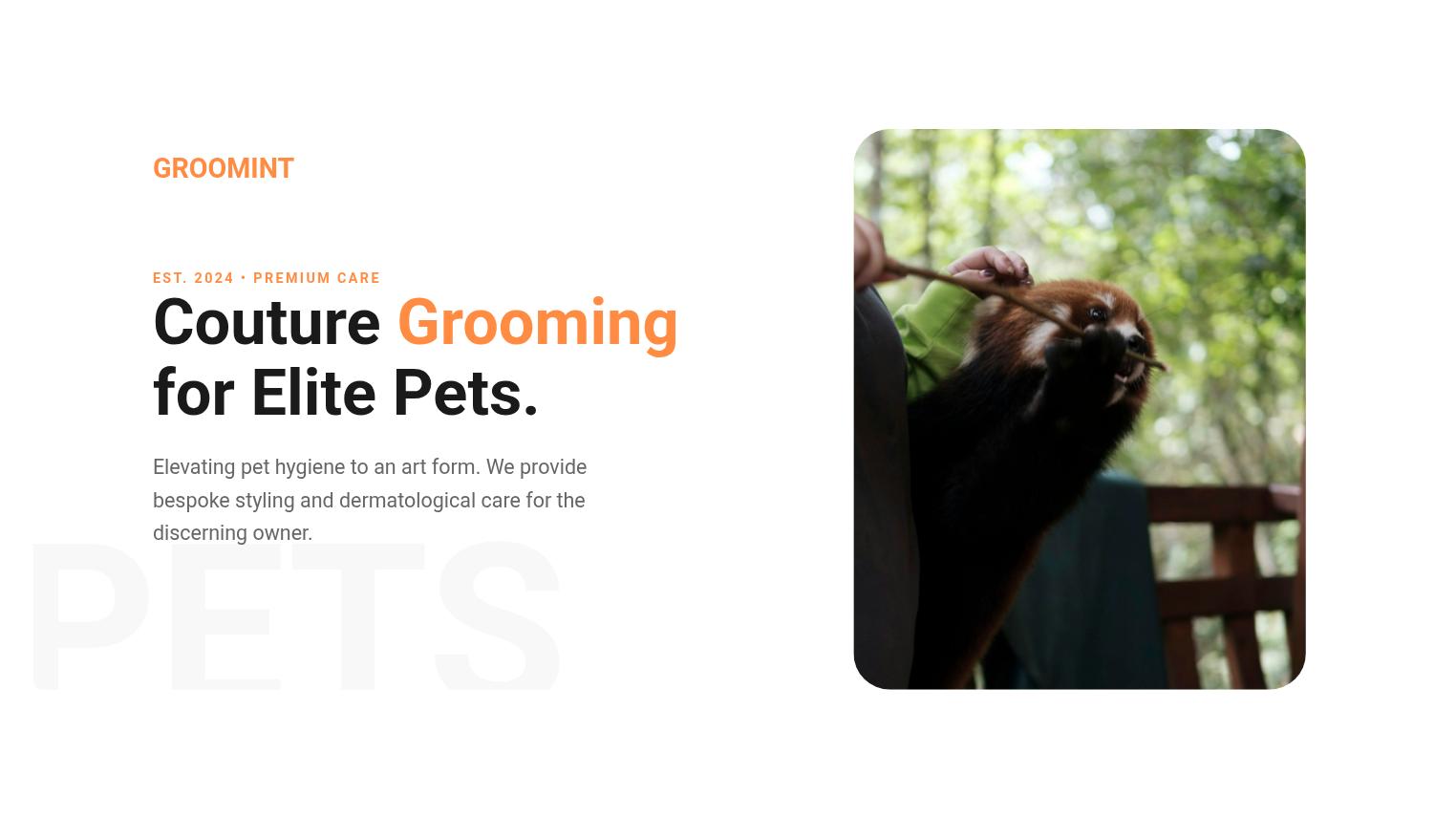 Modern Pet Grooming Presentation Slides